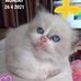 Dot Ison - Facebook