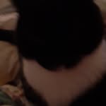 Dorothy Joyner - @joynerdottie - Instagram