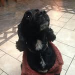 Junior y Dorothy shz - @junior_dorothy_shz - Instagram