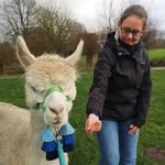 Dorothea Kaiser - @dorokai80 - Instagram