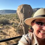 Dorothy Keating - @dorothykeating - Instagram