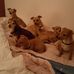 Dorothy Kunz - Facebook