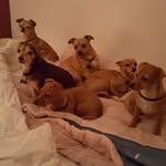 dorothy kunz - @kunzdorothy - Instagram