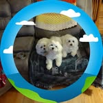 Dorothy Lancaster - @dorothylancaster688 - Instagram
