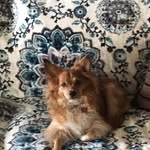 Dorothy Lancaster- Eskina - @lancastereskina - Instagram