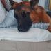 Dorothy Langston - Facebook