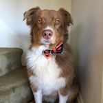 Dorothy Laughlin - @laughlin5907 - Instagram