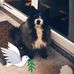 Dorothy M'c Laughlin - Facebook