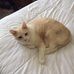 Dorothy Leclair - Facebook