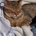 Dorothy Lafleur - Facebook