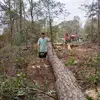Dorothy Mason - @dorothy.mason46 - TikTok