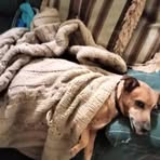 Dorothy McCarter - Facebook