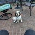 Dorothy Mccormick - Facebook