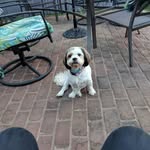 Dorothy Mccormick - @dorothy.mccormick.16 - Instagram