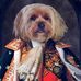 Dorothy Mclaughlin - Facebook