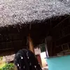 Dorothy Michael - @dorothy.michael94 - TikTok