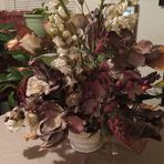 Dorothy Nesbitt - Facebook