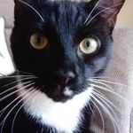 Dorothy Nesbitt - @dorothy.nesbitt.1 - Instagram