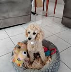 Dorothy ODonnell - Facebook
