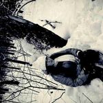 Dorothy Ogden - @dorothyogden473jmb - Instagram