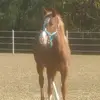 Dorothy Olson567 - @didyousayglitter - TikTok