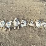 Dorothy Olson - @dot_olson - Instagram