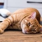 Dorothy Olson - @dorot_hyolson - Instagram
