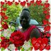Dorothy Orr - Facebook
