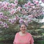 Dorothy Orr - @winogew633 - Instagram