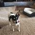 Dorothy Orr - Facebook