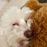 Eileen Dorothy Orr - @eileendorothyor - Instagram