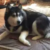 Dorothy Pierce - @dorothy.pierce - TikTok