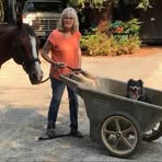 Dorothy Plummer - Facebook