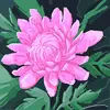 Dorothy Plummer-Johnson - @dorothy.plummerjo - TikTok