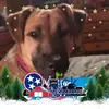 dorthyannplunkett - @dorthyannplunkett - TikTok