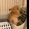 DorothyPratt - @dorothyprattmrgfwv - TikTok