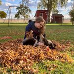 Dorothy Rees - @oz99222 - Instagram