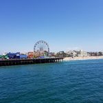 Dorothy Rees - @dorothyrees388 - Instagram