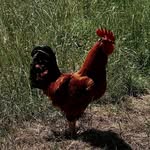 Dorothy Criddle - @criddledorothy - Instagram