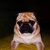 Dorothy Riddle - Facebook