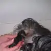 dorothyriddle703 - @dorothyriddle703 - TikTok