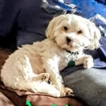 Dorothy Riley - @driley_42 - Instagram
