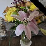 Dorothy Roach - Facebook