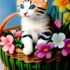 dorothytroach78013 - @dorothytroach78013 - TikTok