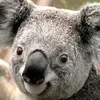 Dorothy Rowan - @dorothy.rowan6 - TikTok