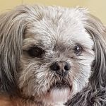 Dorothy Roy - @dorothy.roy.98 - Instagram