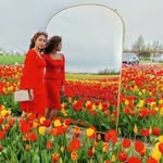 Dorothy Roy Ghosh - @dorothyroy23 - Instagram