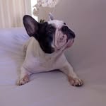 Dorothy Royal Trade - @dorothy.royaltrade - Instagram
