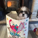 Dorothy Rue 🧸 - @dorothyrueoboyle - Instagram
