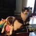 Dorothy Ruetz - Facebook